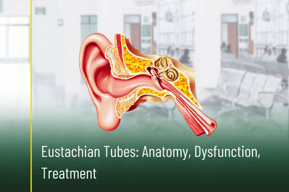 Eustachian Tubes: Anatomy, Dysfunction, Treatment